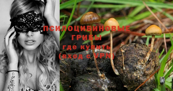 бошки Армянск