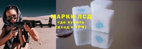 Альфа ПВП Аркадак