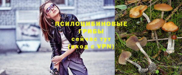 прущая мука Пролетарск