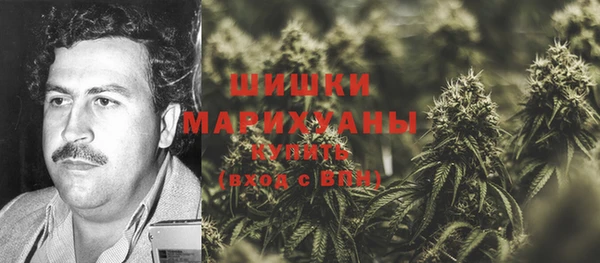 Альфа ПВП Аркадак